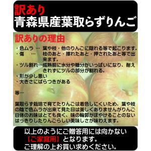 訳ありりんご 5kg 20玉前後 訳あり 青森...の詳細画像1
