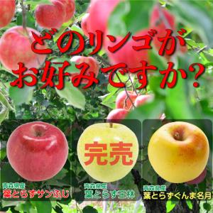 訳ありりんご 5kg 20玉前後 訳あり 青森...の詳細画像3