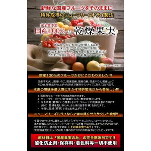 国産乾燥果実シリーズ/乾燥りんご/25g/リン...の詳細画像1