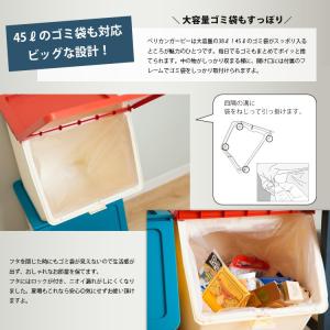 スタックストー ペリカン ガービー 38L ご...の詳細画像3