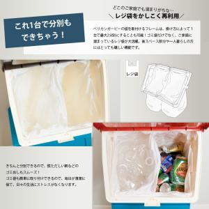 スタックストー ペリカン ガービー 38L ご...の詳細画像4