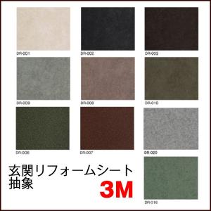 3M ダイノックシート ダイノックフィルム FA-024DR 玄関ドア