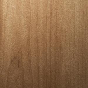 ダイノック Wood ドライウッド メイプル 板目 DW-1873MT 原反巾 1220mm 1巻（50m）｜3333-mmmstore