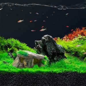 ESJNNK 水族館 シェルター 隠れ家 装飾...の詳細画像5