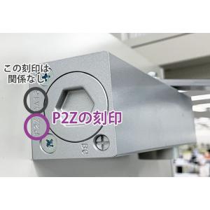NEWSTAR(ニュースター) P3Z・P2Z...の詳細画像1