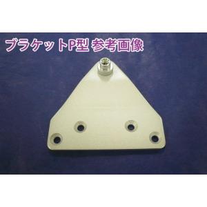 NEWSTAR(ニュースター) P3Z・P2Z...の詳細画像2
