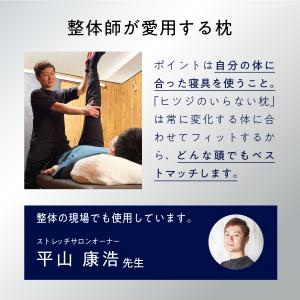 ZIPで放送! 枕 カバー付 ヒツジのいらない...の詳細画像3