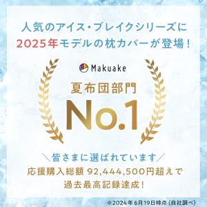 LINE500円OFFクーポン! 枕カバー 接...の詳細画像3