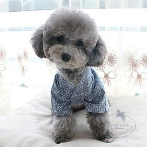 ペット服 犬 猫 浴衣 夏 和服 着物 小型犬...の詳細画像1
