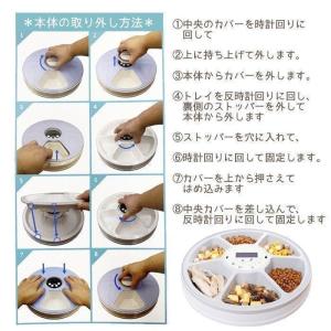 自動給餌器 オートペットフィーダー 自動 給餌...の詳細画像4