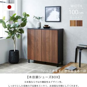 下駄箱 完成品 シューズボックス 靴箱 おしゃれ ロータイプ 玄関 収納
