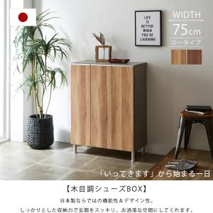 下駄箱 完成品 シューズボックス 靴箱 おしゃ...の詳細画像1