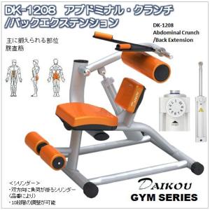 DK-1208 アブドミナルクランチ/バックエクステンション GYMシリーズ