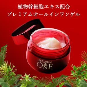 保湿ジェル オールインワンゲル オールインワンジェル 無添加 オールインワン化粧品 クリーム 化粧水 50g 美肌 スキンケア 送料無料