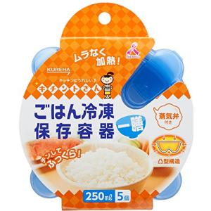 キチントさん ごはん冷凍保存容器 ブルー 一膳分 250ml 5個入り｜369ファクトリー