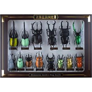 ザアクセス 立体昆虫図鑑DX カブトムシ ヘラクレス リッキーブルー