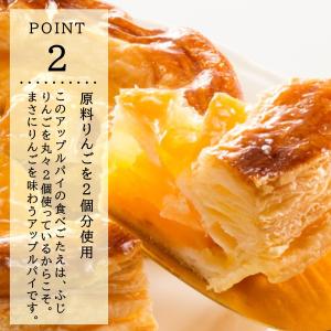ふじりんごタップリ 御進物ぴったり 送料無料 ...の詳細画像4