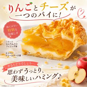 【送料無料】アップルパイ りんご&チーズパイ ...の詳細画像1