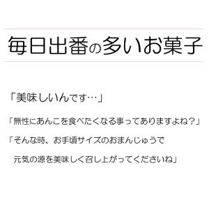 お好み選べる お試し お菓子 和洋アソート2種...の詳細画像1