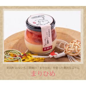 紀州ぷりん鶴亀堂　まりひめ（3瓶入り）