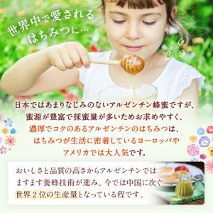 はちみつ 業務用 アルゼンチン産蜂蜜 2kg ...の詳細画像4