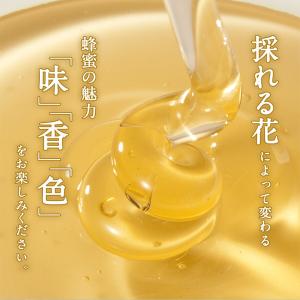 国産はちみつ 百花蜂蜜 ハチミツ1kgポリ容器...の詳細画像3