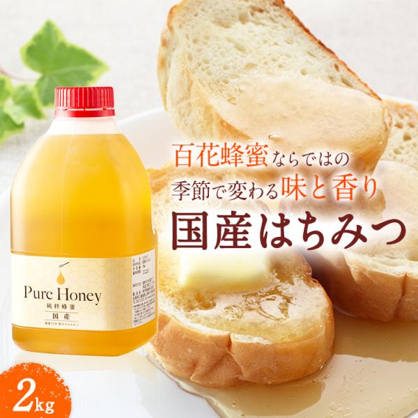 はちみつ 国産はちみつ 業務用 2ｋｇ 送料無料 純粋蜂蜜 爆買