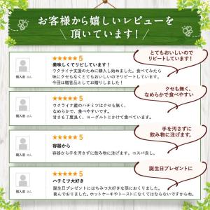 ウクライナ産はちみつ500g×2本 純粋蜂蜜 ...の詳細画像4