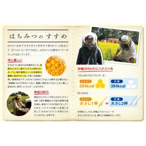 はちみつ 業務用 熊手のはちみつ オリジナルブ...の詳細画像2