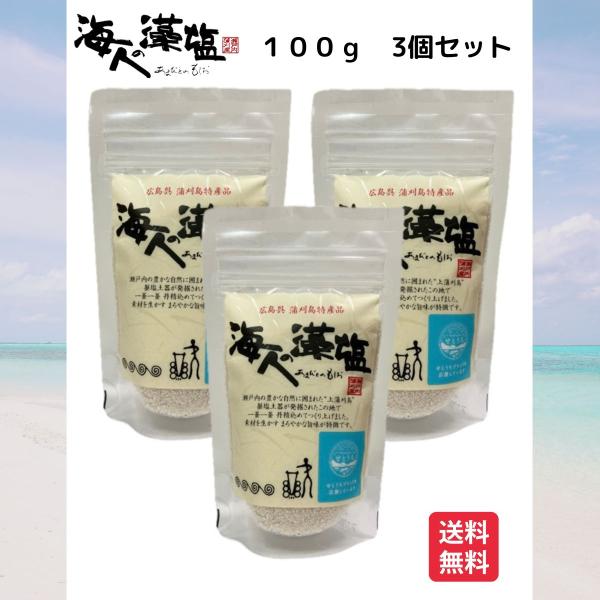 海人の藻塩 100g 3個　あまびとのもしお 塩  スタンドパック ホンダワラ 送料無料
