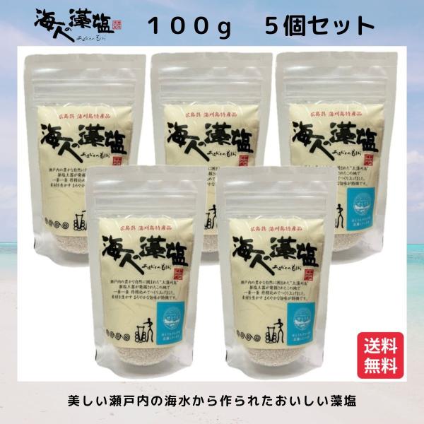 海人の藻塩 100g 5個　あまびとのもしお 塩 スタンドパック ホンダワラ 送料無料