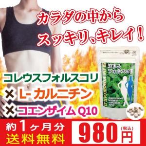 ゆうパケット 送料無料 コレウスフォルスコリ フォースコリー ダイエット サプリ 脂肪 燃焼 L-カルニチン コエンザイムQ10 ハーブ フォースリン スッキリ