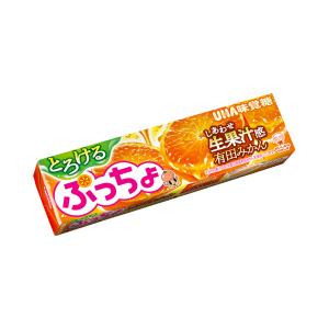UHA味覚糖 ぷっちょスティック とろける有田みかん 10粒 120コ