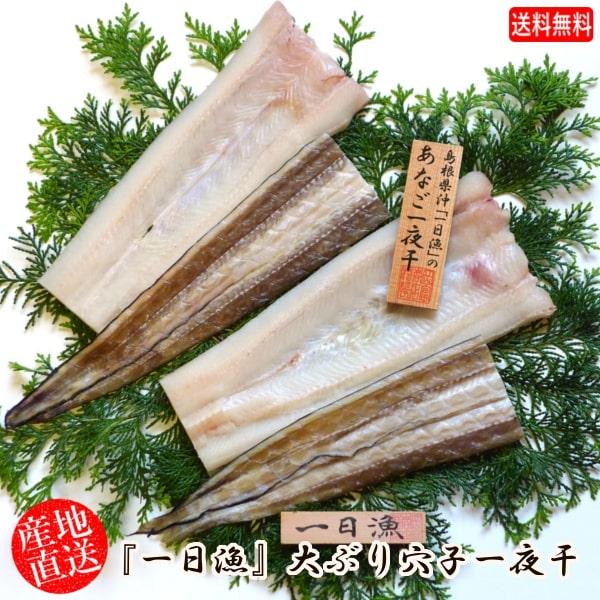(地域限定送料無料)岡富商店 「一日漁」一夜干　大ぶり穴子一夜干(穴子2尾（1/2カット×4） 冷凍...