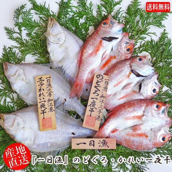 (地域限定送料無料)岡富商店 「一日漁」一夜干　のどぐろ・かれい一夜干（のどぐろ3尾・エテかれい3〜...