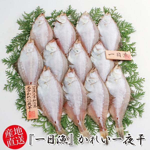 岡富商店 『一日漁』かれい一夜干 1200g〈10〜16枚〉冷凍 干物セット ギフト(sot122)