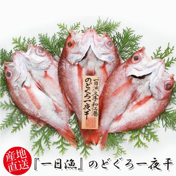 岡富商店 『一日漁』のどぐろ一夜干 660g〈3〜5枚〉冷凍 干物セット ギフト(sot123)