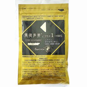 公式ショップ 正規品 9袋セット ボディマスター BODYMASTER HMB NMN