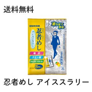 UHA味覚糖 忍者めし アイススラリー すっきり柑橘系味 1袋 (22g×8個入