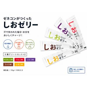 ゼネコンがつくったしおゼリー 5種アソート 10本セット（内容が分かる）10g 個包装 塩分補給 熱中症対策 ゼリー