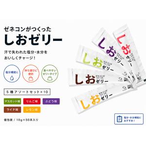 ゼネコンがつくったしおゼリー 5種アソート 50本セット（内容が分かる）10g 個包装 塩分補給 熱中症対策 ゼリー