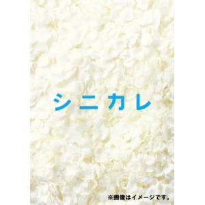 シニカレ完全版 DVD-BOX - 最安値・価格比較 - Yahoo!ショッピング