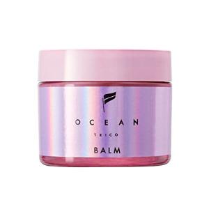 SHISEIDO（資生堂） アウスレーゼ ブリランチンN ポマード 80g : フジ