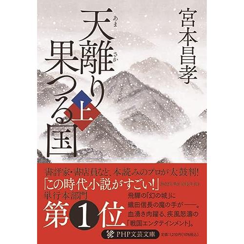 天離り果つる国（上） (PHP文芸文庫)