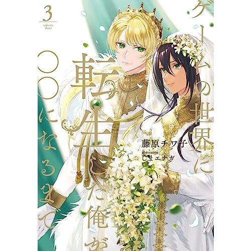 ゲームの世界に転生した俺が○○になるまで 3 (Ruby collection)