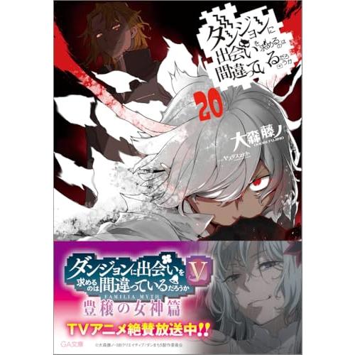 ダンジョンに出会いを求めるのは間違っているだろうか 20 (GA文庫)