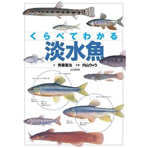 くらべてわかる 淡水魚の買取情報