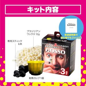 ゴッソ(GOSSO) 3回分 2個セットの詳細画像1