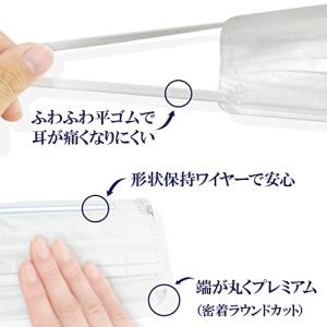 [医食同源ドットコム] iSDG 不織布マスク...の詳細画像1