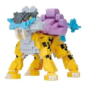 ナノブロック nanoblock リザードン DX NBPM_080 【難易度4】 : トイ